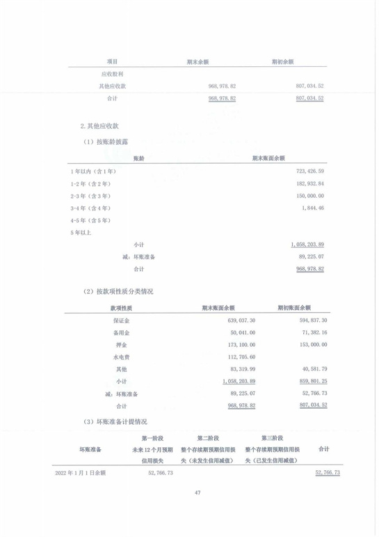11、匯杰設(shè)計(jì)-2022年度審計(jì)報(bào)告_47.jpg